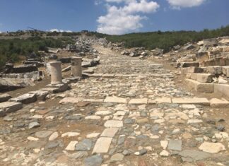 Siyasi Değişiklikler ve Müzeye Etkileri