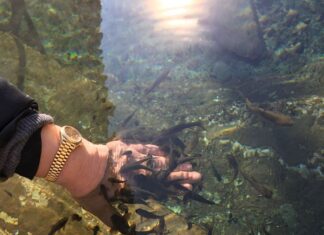 Kazanhan Restoranları Antalya’da 40 Yıllık Lezzet Tecrübesi